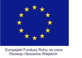 Logo UE-z-napisem